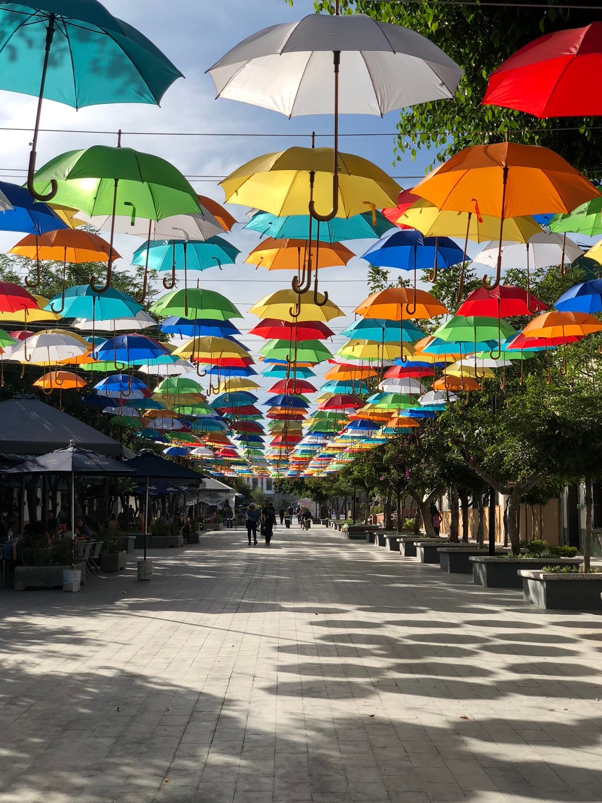 Andador 20 de Noviembre Zapopan - Image 1