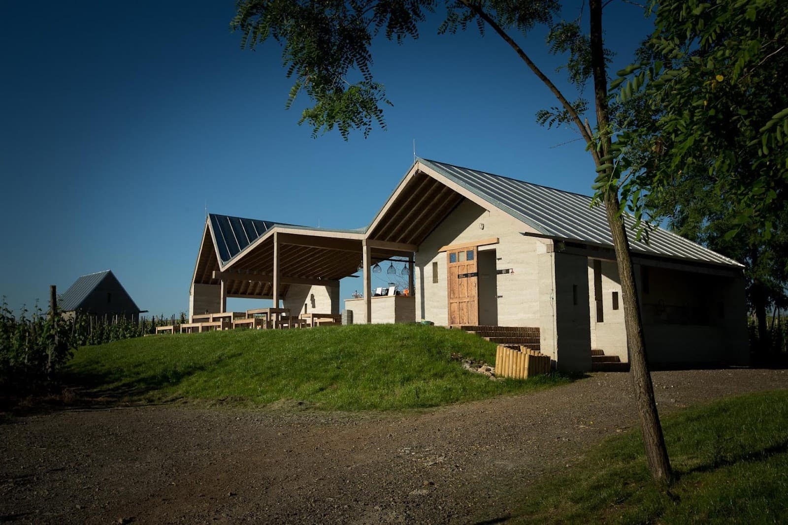 Almagyar Wine Terrace and Vineyard - Image 1
