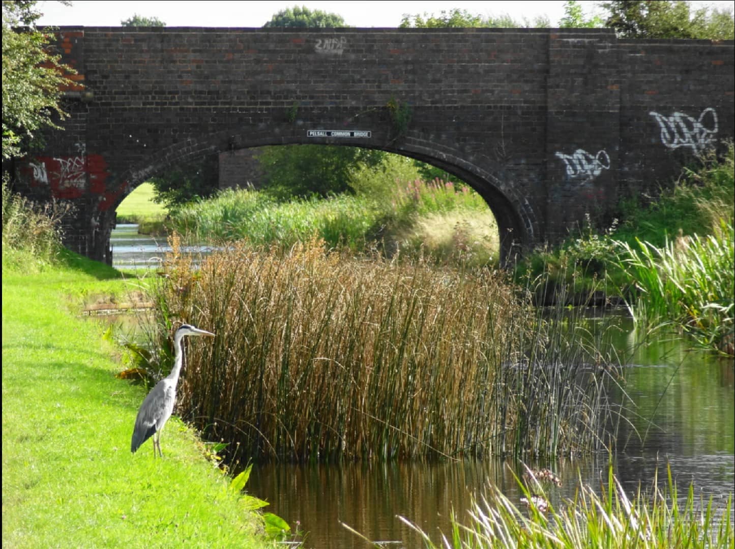 Rushall Canal to Chase Water Reservoir