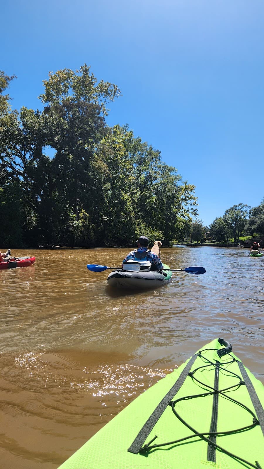 Bayou Vermilion Paddle Trail - Image 1