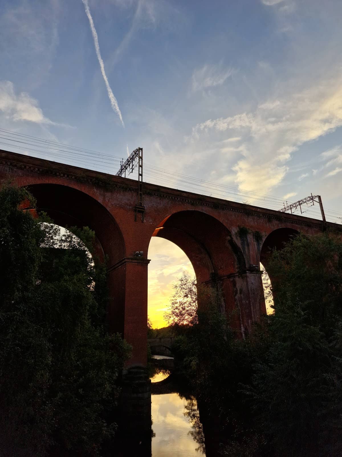 Vertical photo