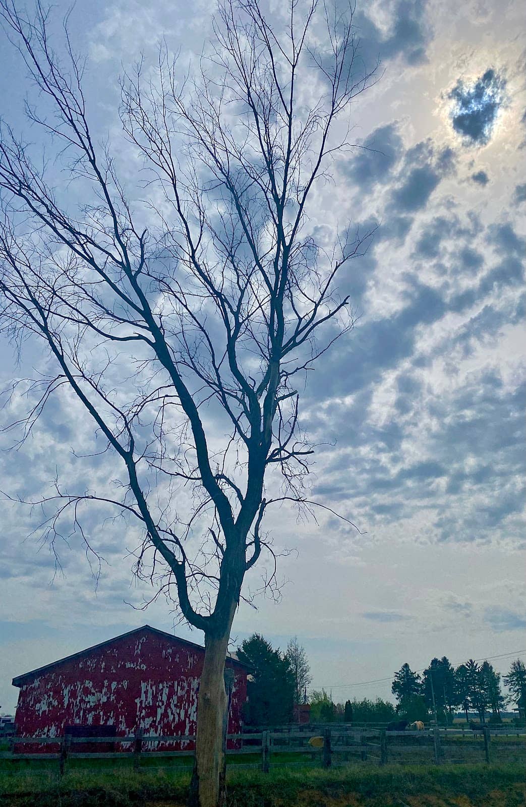 Vertical photo
