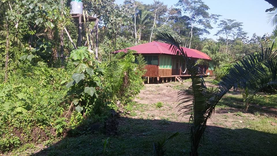 Amazon Canopy Tower (Tambopata) - Image 1