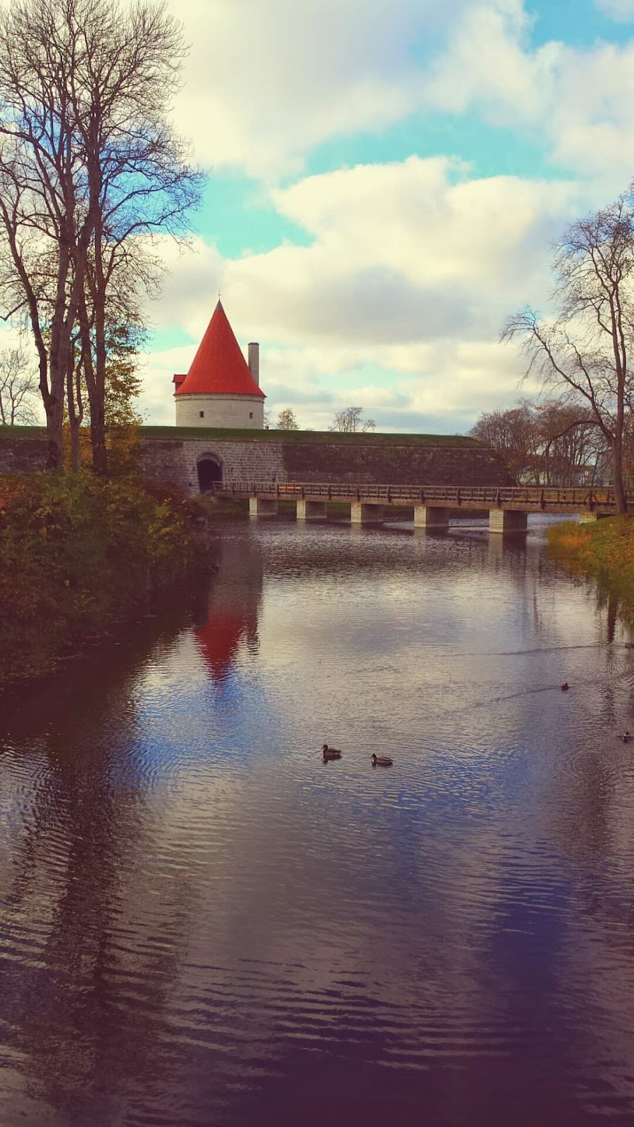 Lossi Street - Image 1