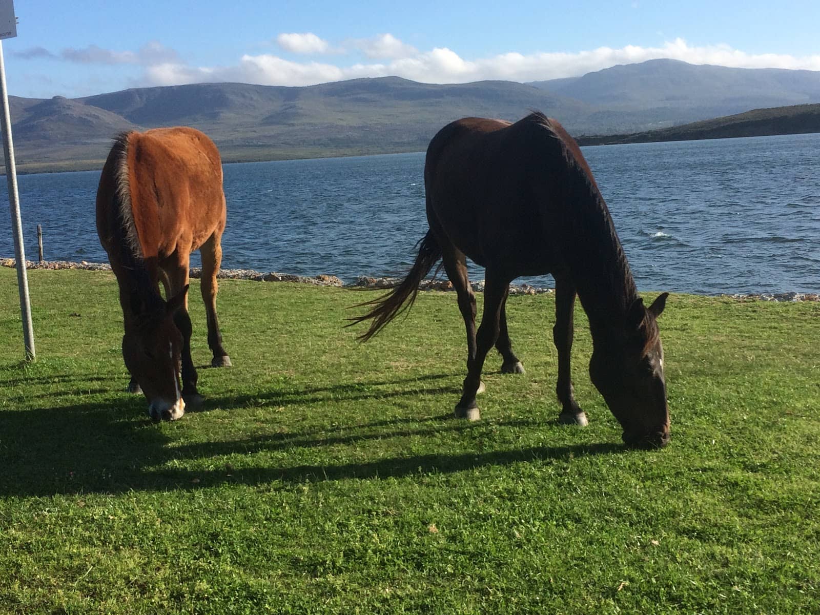 Peaceful Village Atmosphere