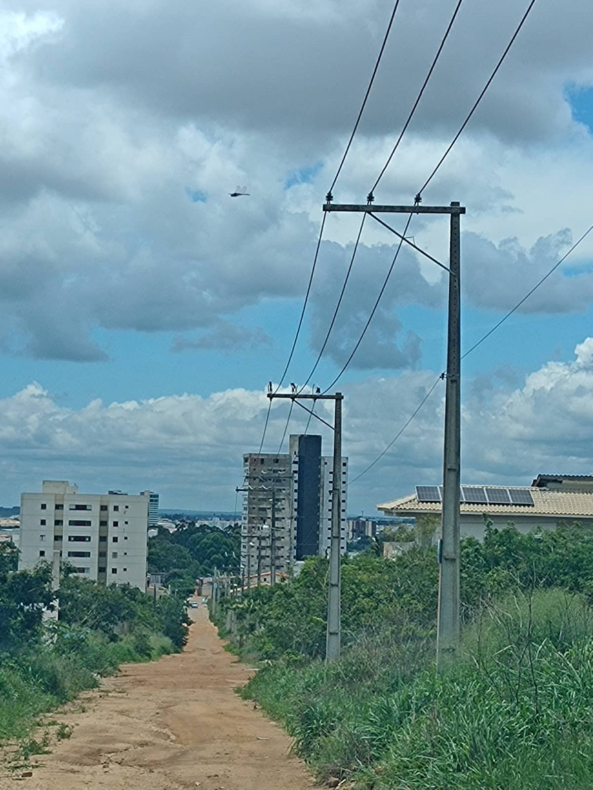 Vertical photo
