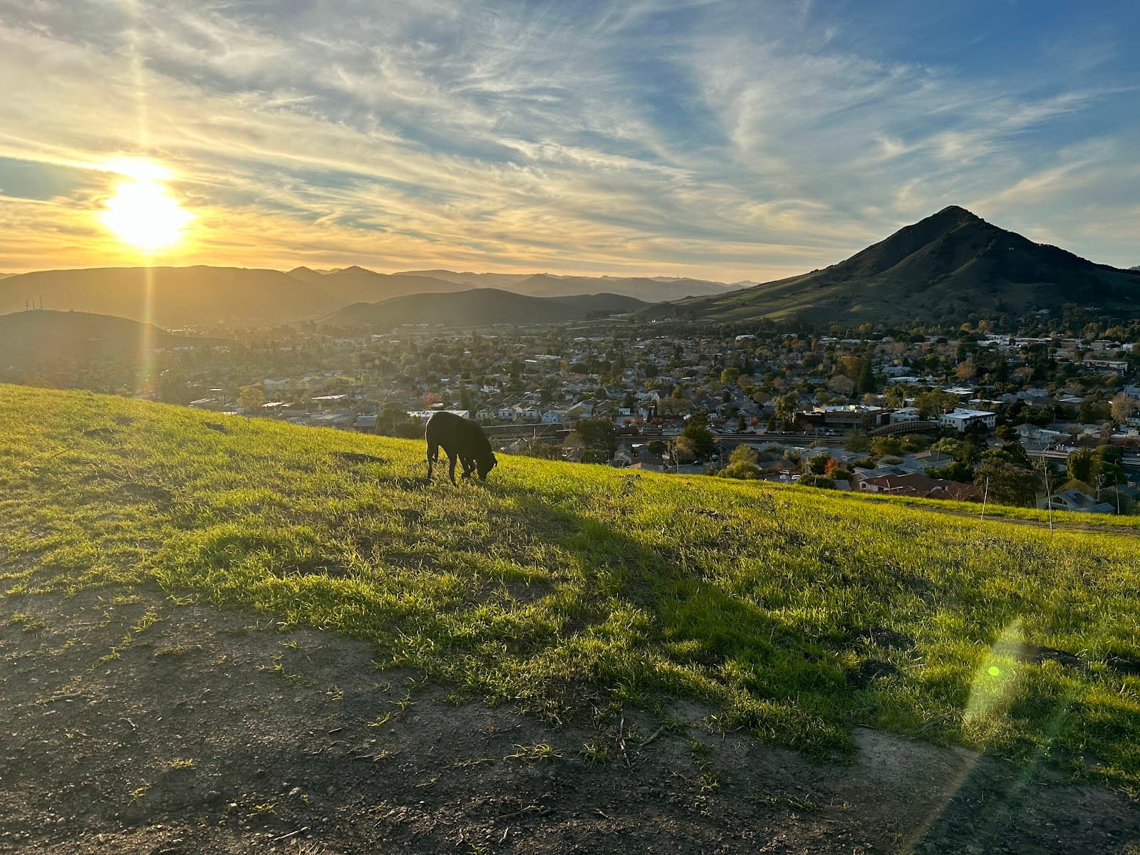 Terrace Hill San Luis Obispo - Image 1