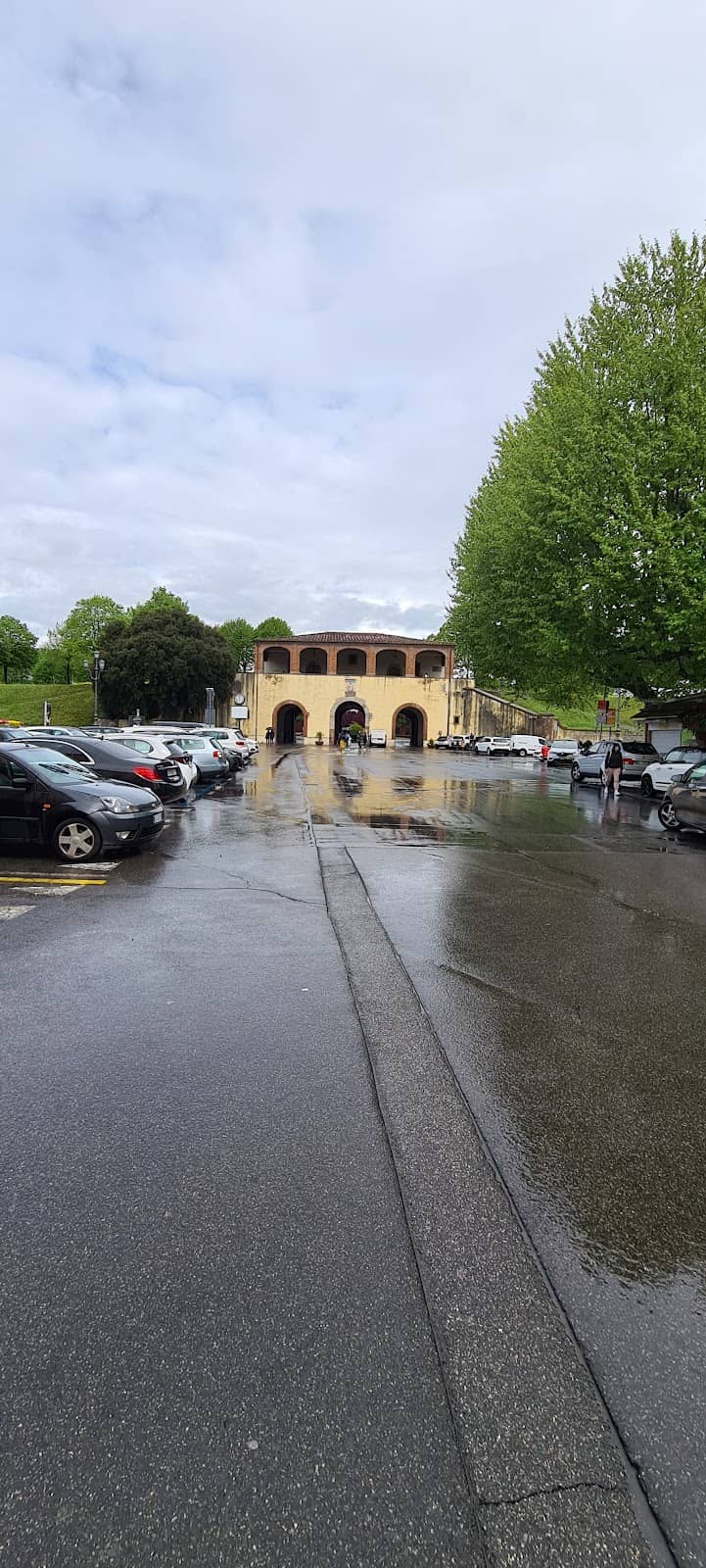 Lucca's Culinary Scene