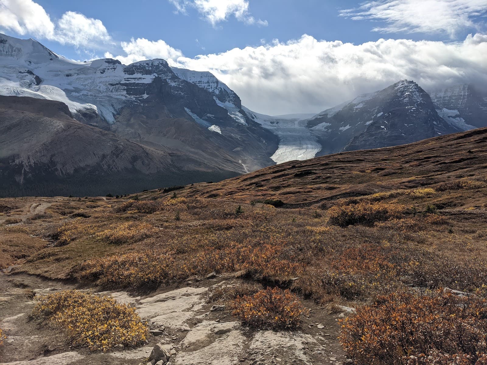 Wilcox Pass Jasper National Park - Image 1