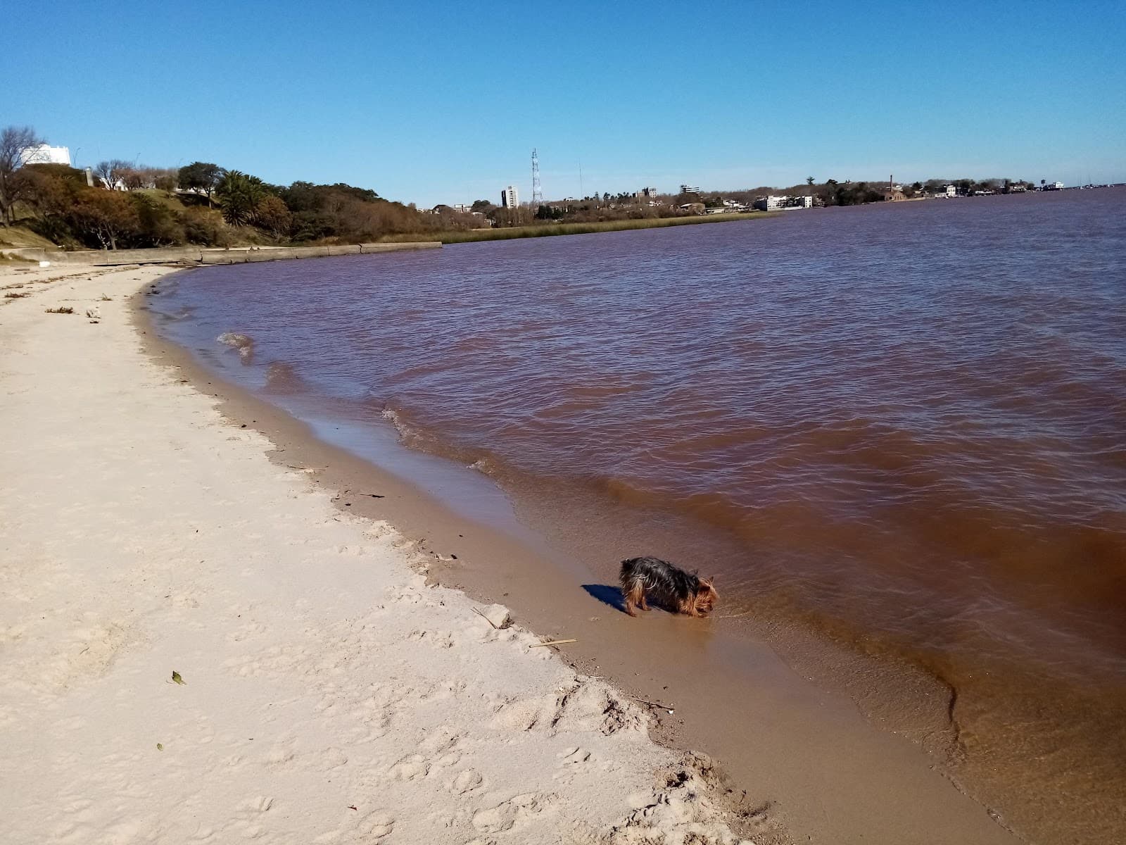Playa El Álamo - Image 1