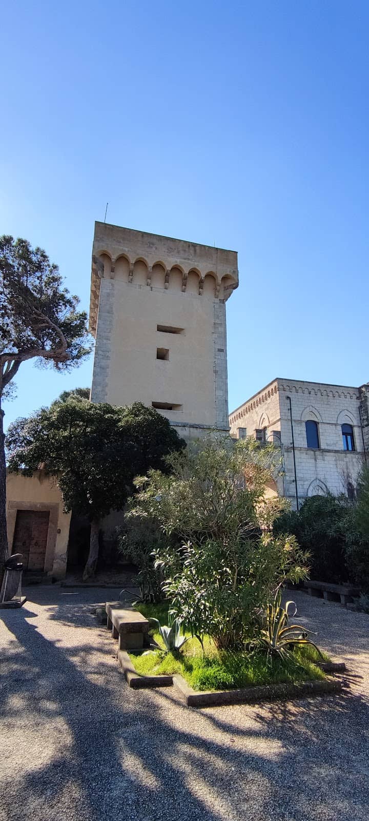Medici Fortification Architecture