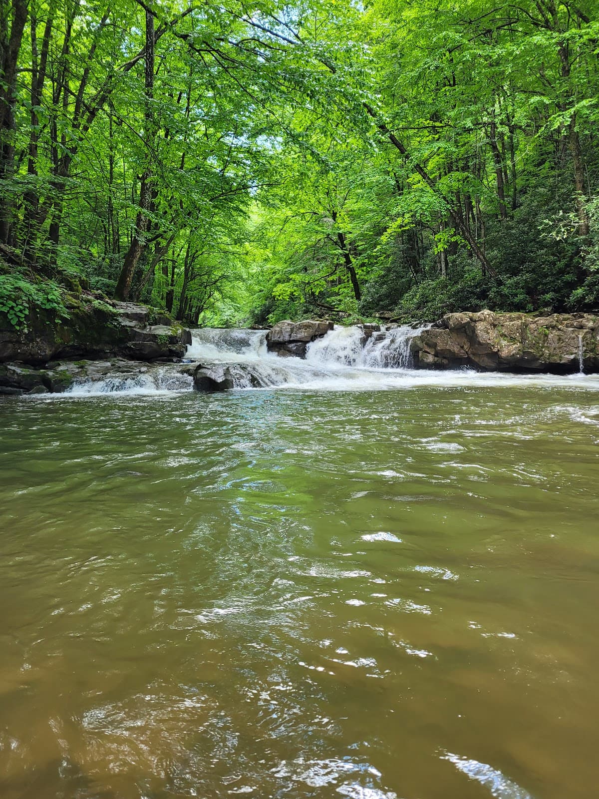Glade Creek Trail - Image 1