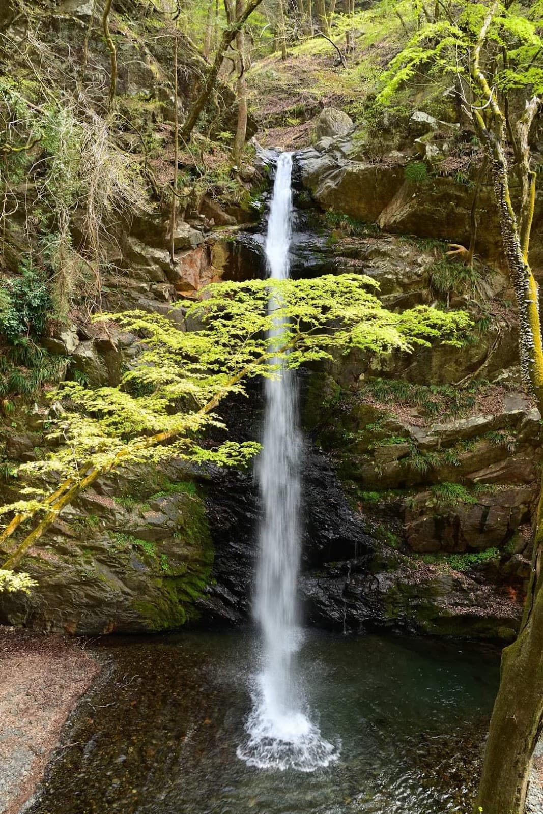 Fudo Falls (Shima) - Image 1