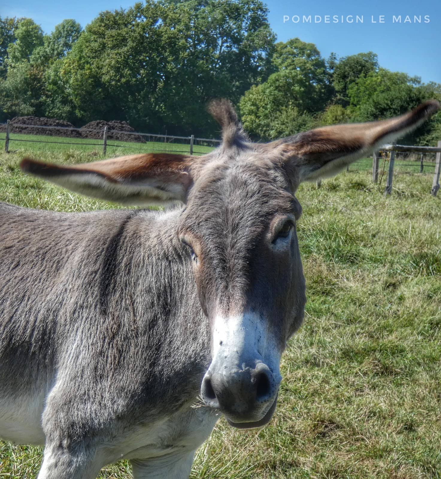 Riverside Relaxation