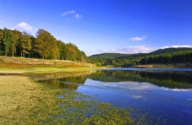 Trentabank Reservoir - Image 1