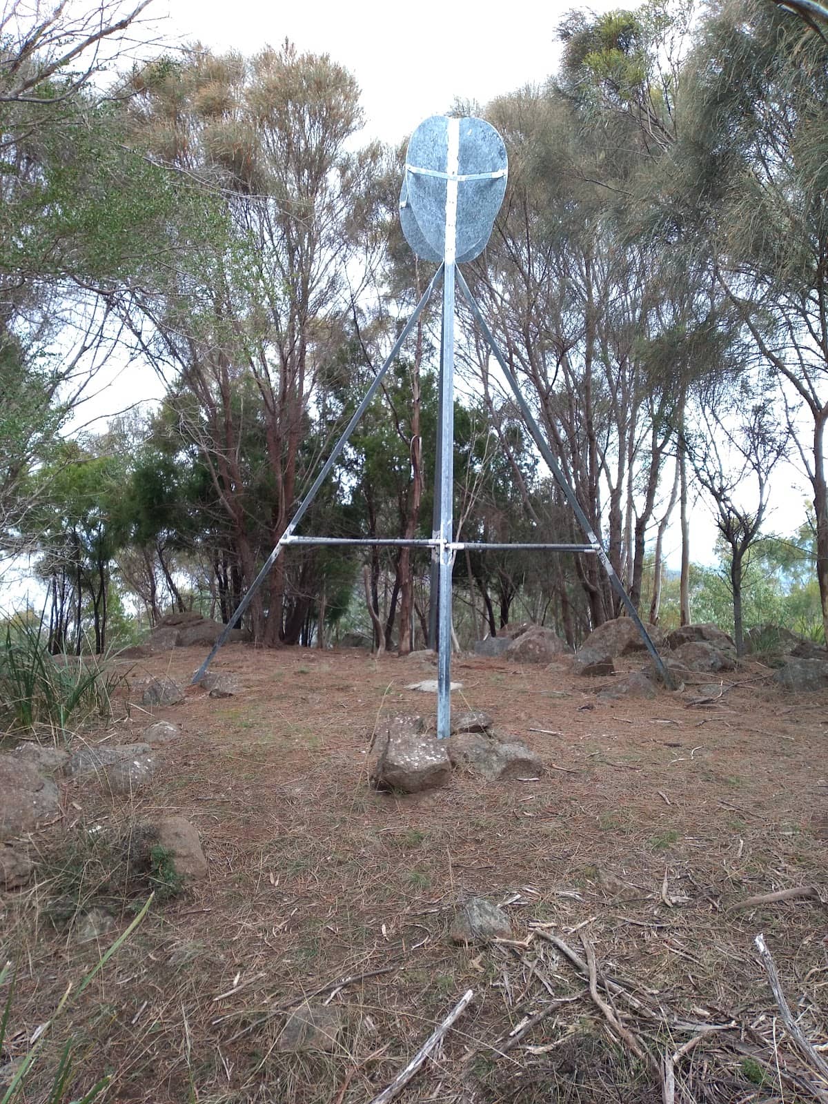 Vertical photo