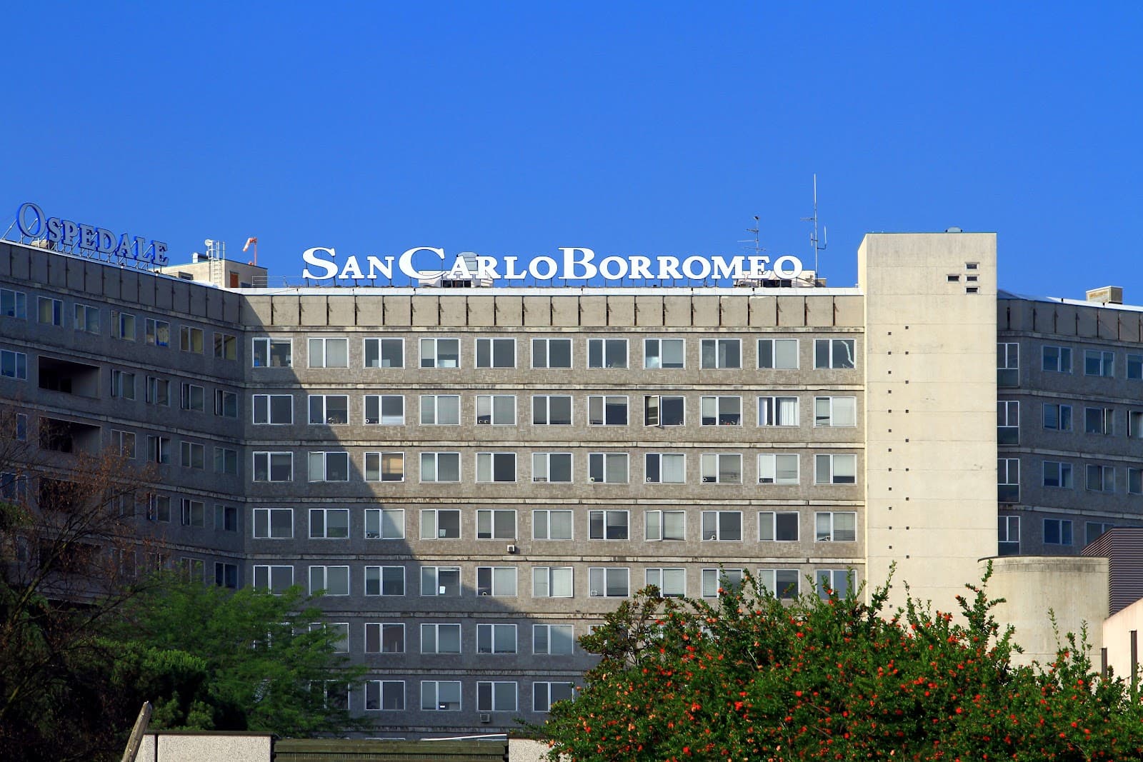 San Carlo Borromeo - Image 1