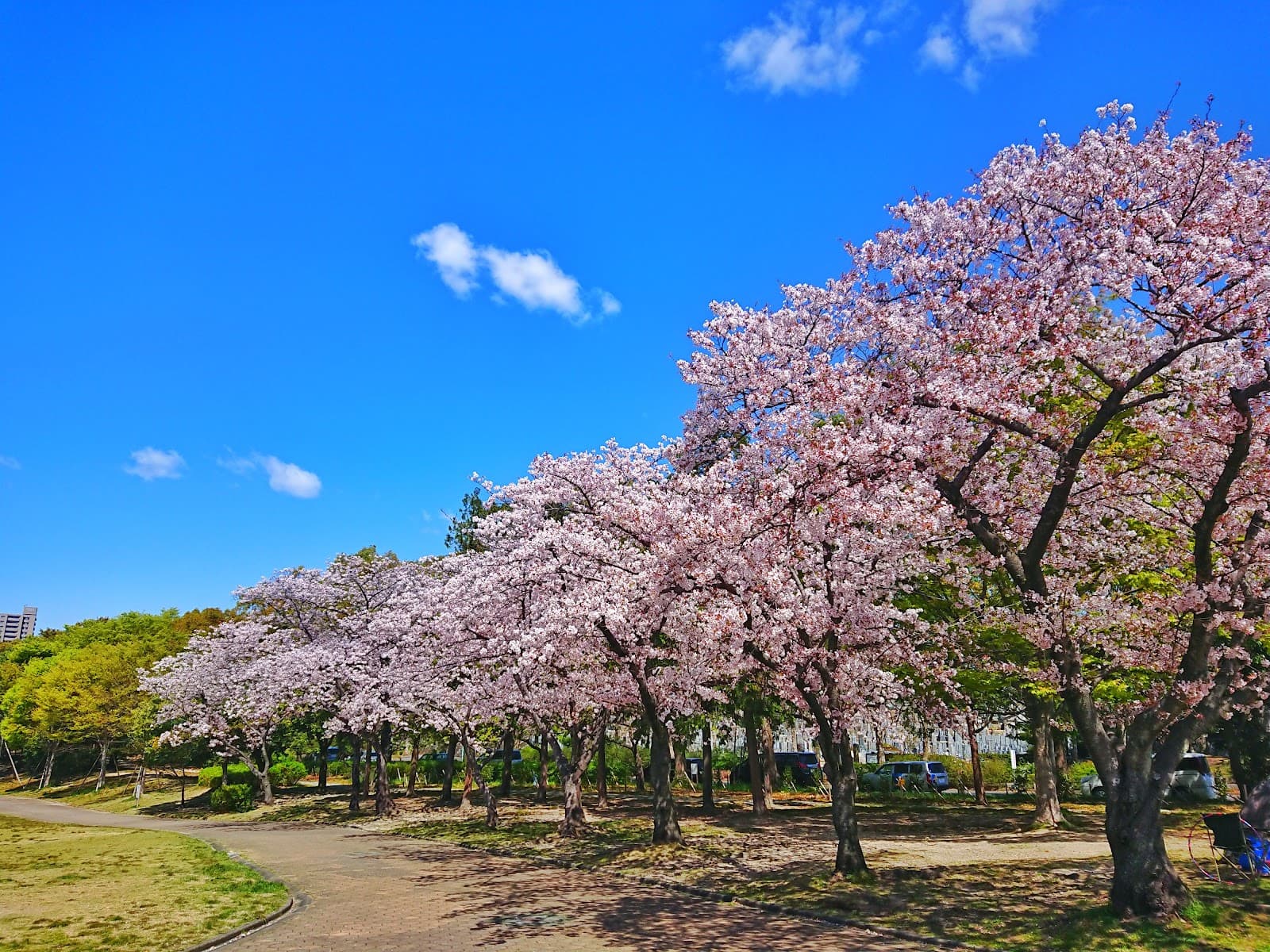 Heiwa Park - Image 1