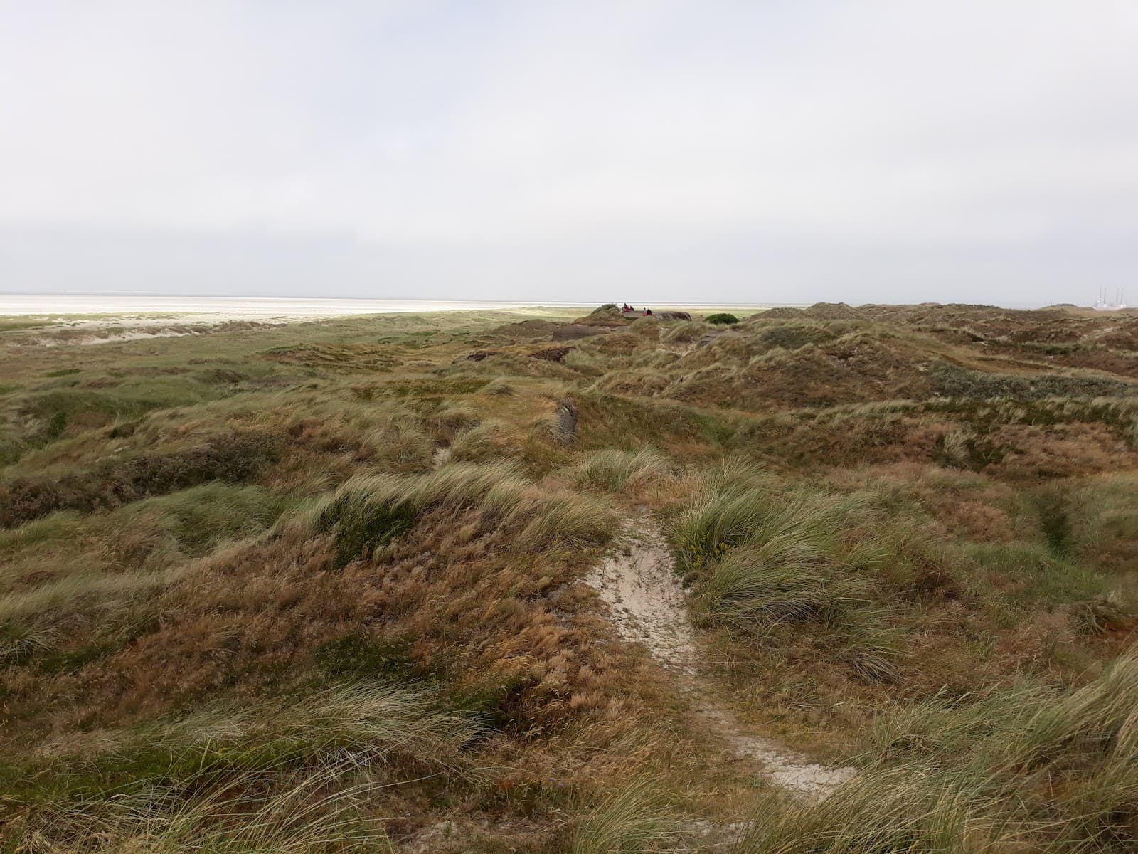 Fanø Bunkers - Image 1