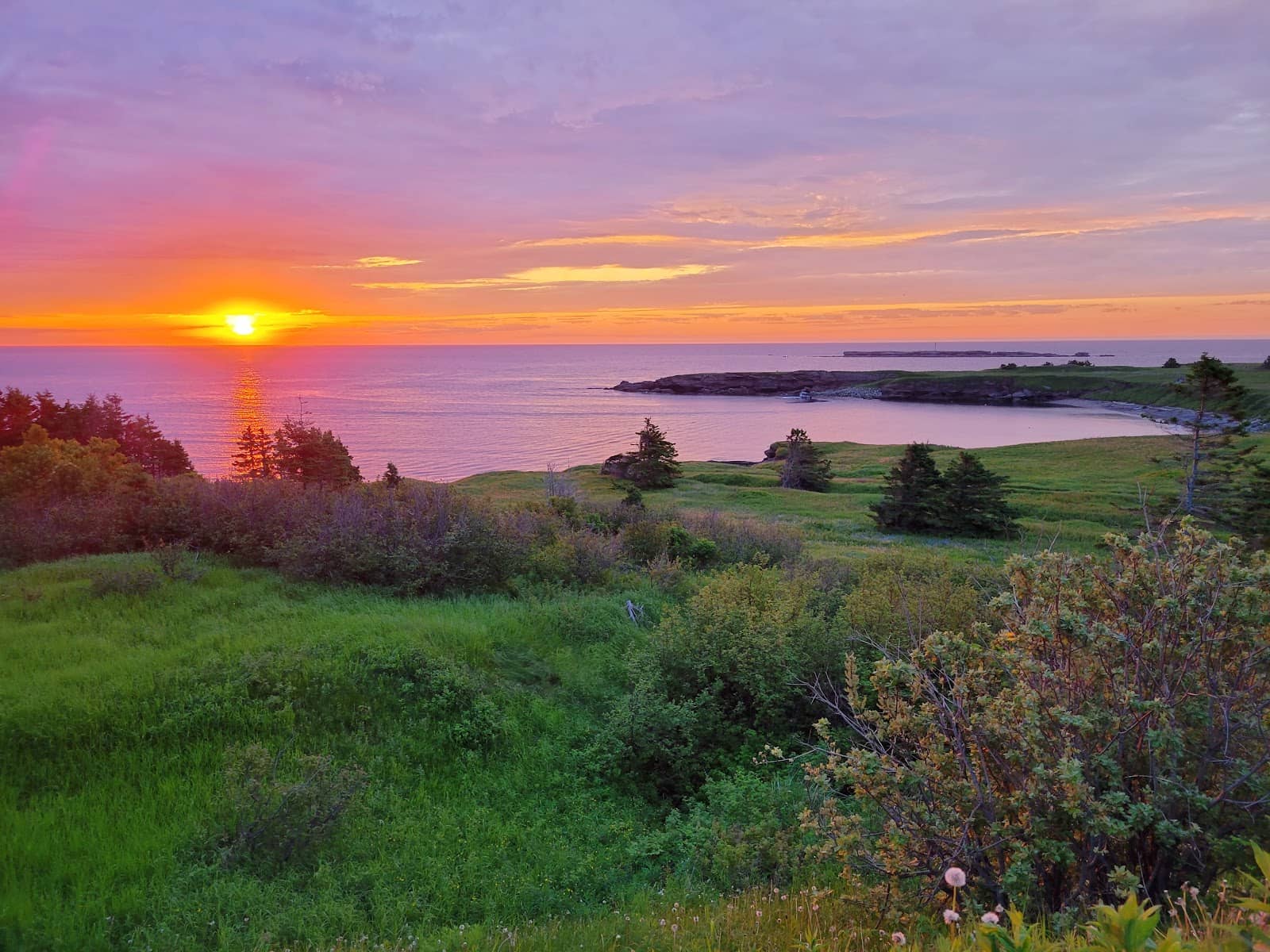 Tranquil Walking Trails