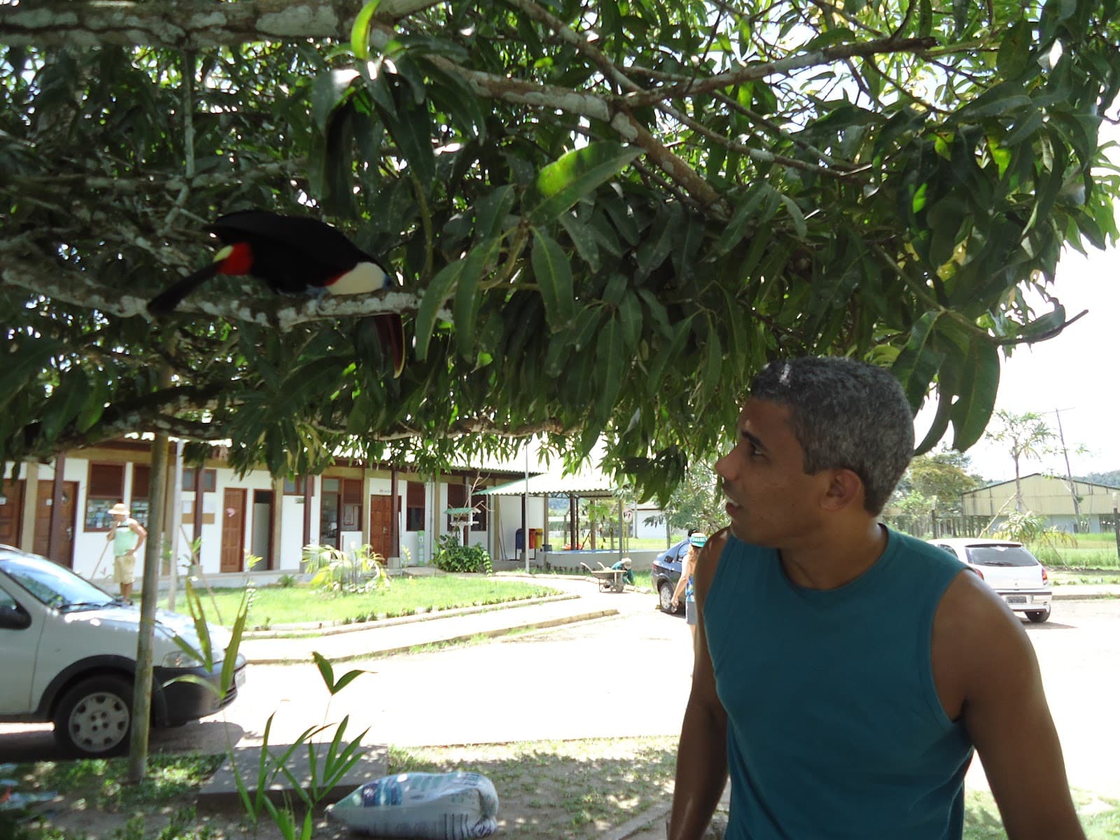 Balbina Dam - Image 1