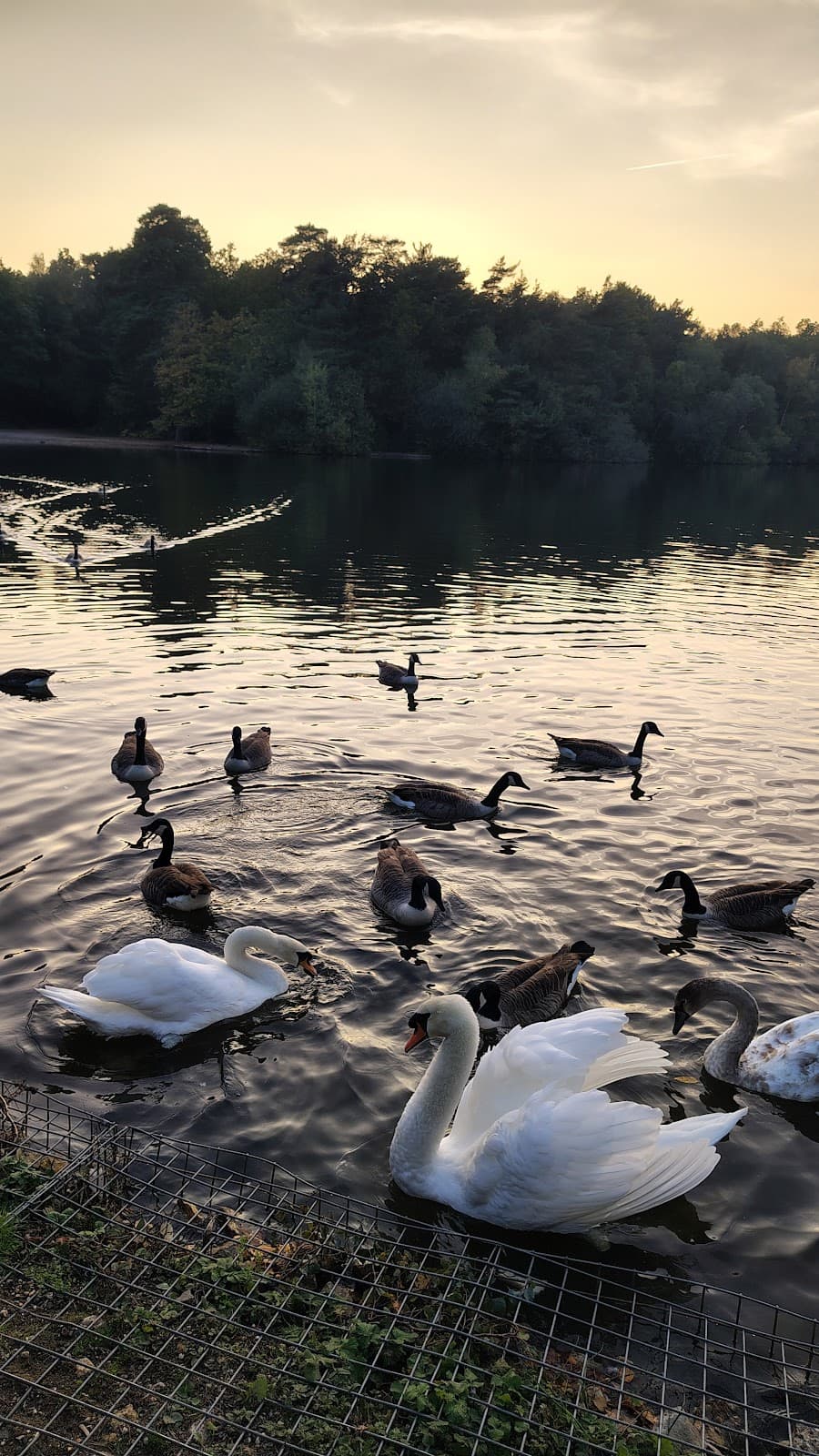 Hawley Lake - Image 1