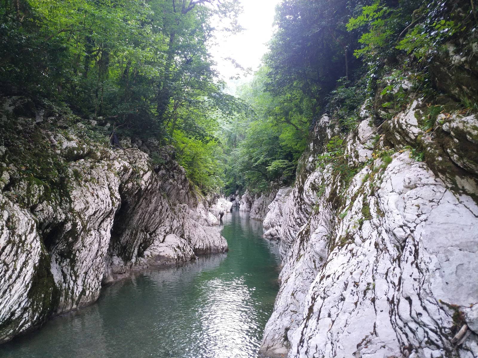 Khosta River Viewpoint