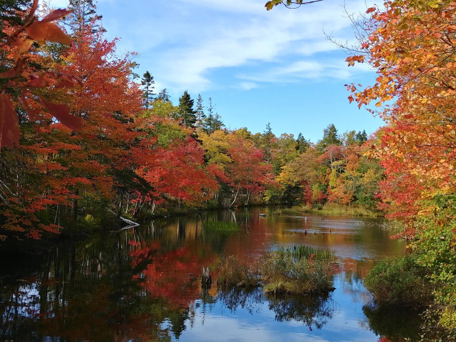 Doggy Beach & Off-Leash Area