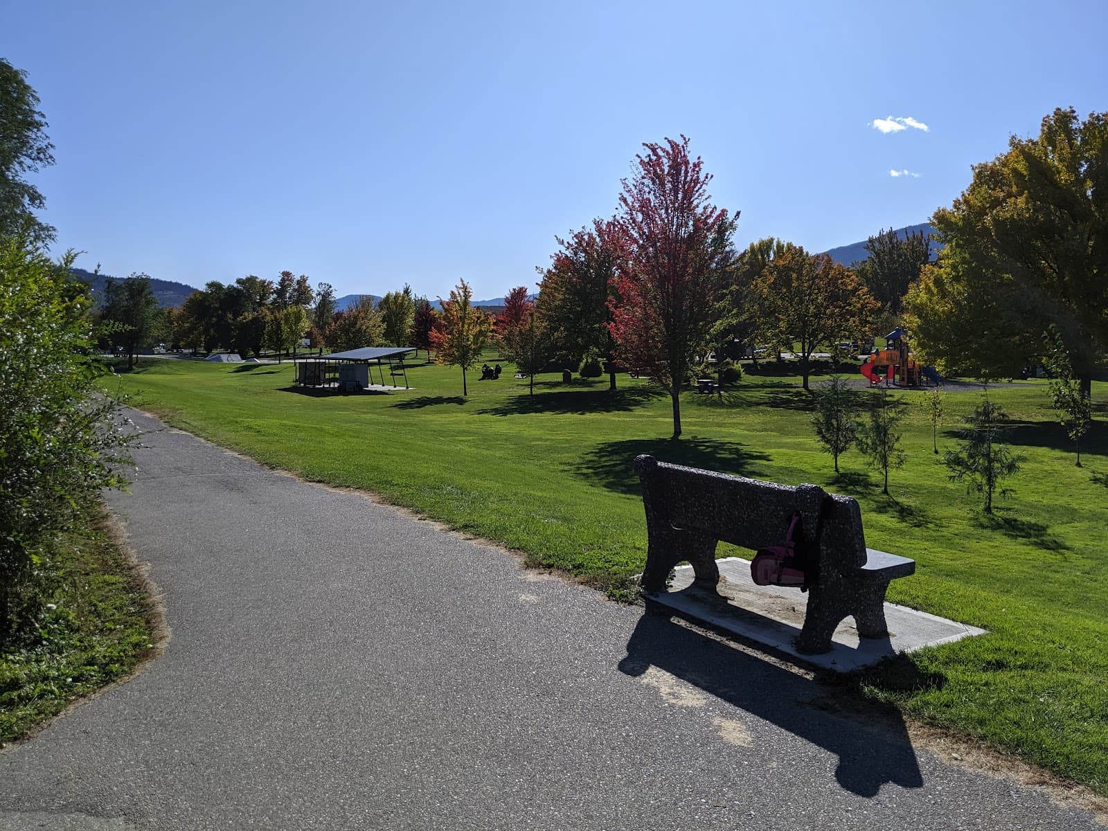 Lions Park Oliver - Image 1