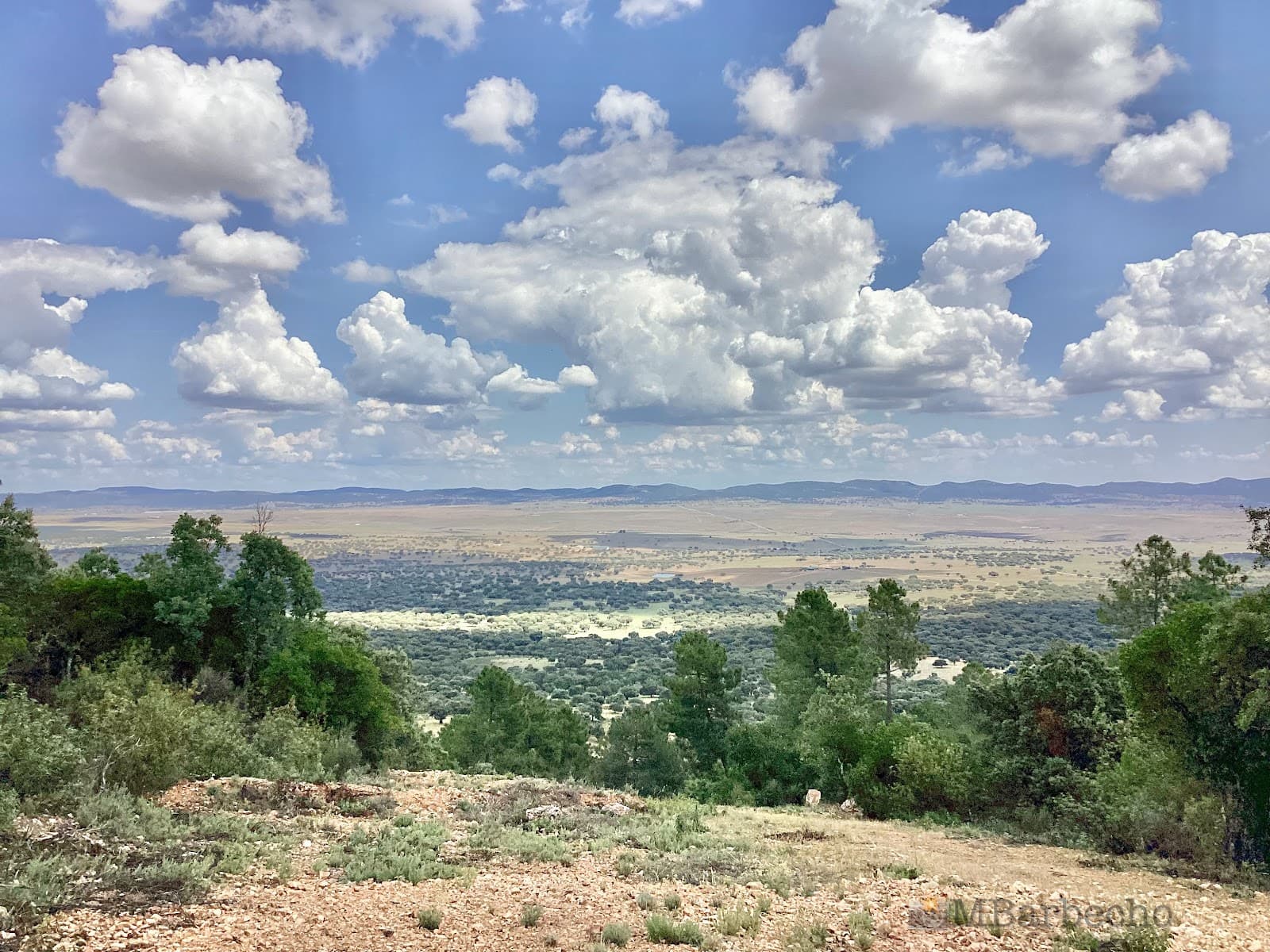 Valle de Alcudia y Sierra Madrona Natural Park - Image 1