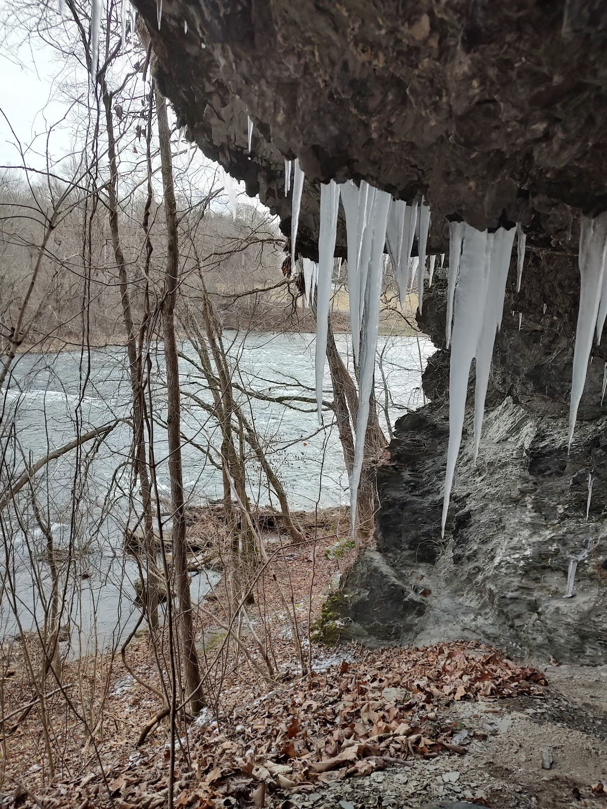 Watauga River Bluffs State Natural Area - Image 1