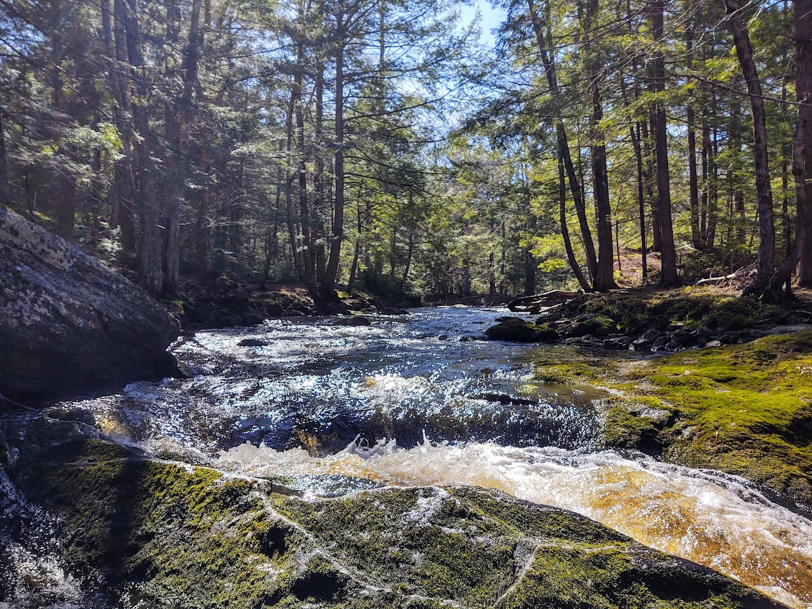 Cathance River Nature Preserve - Image 1