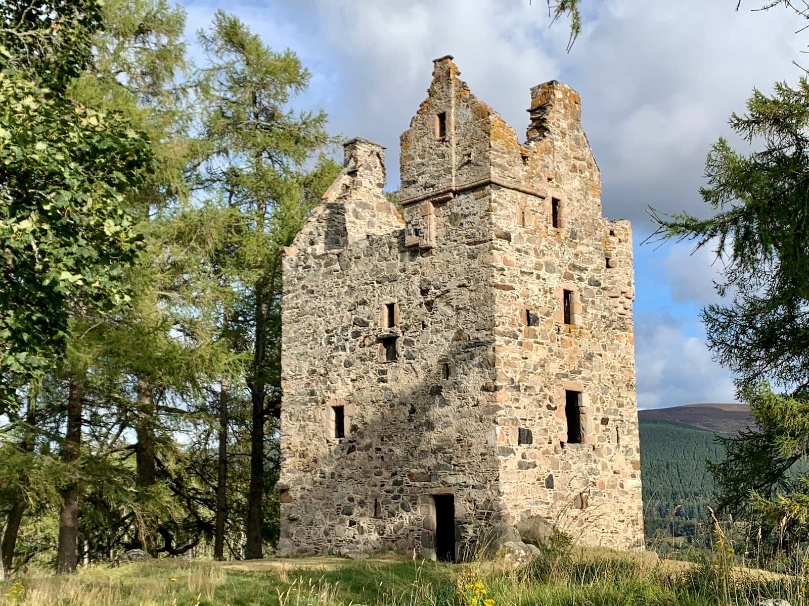 Encountering Local Wildlife