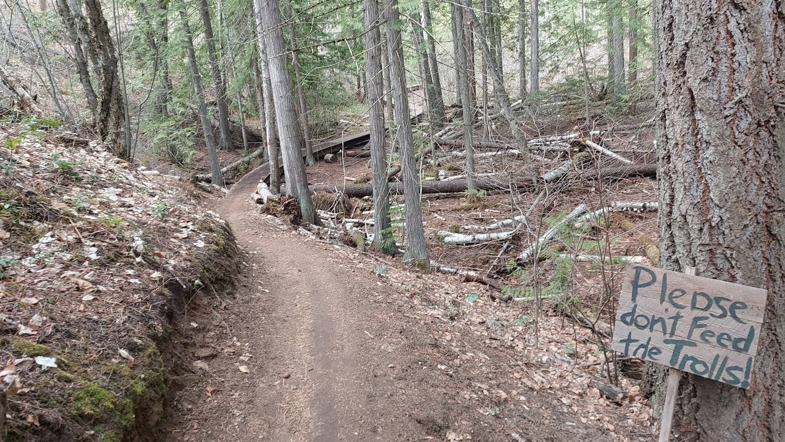 Spiderweb of Trails