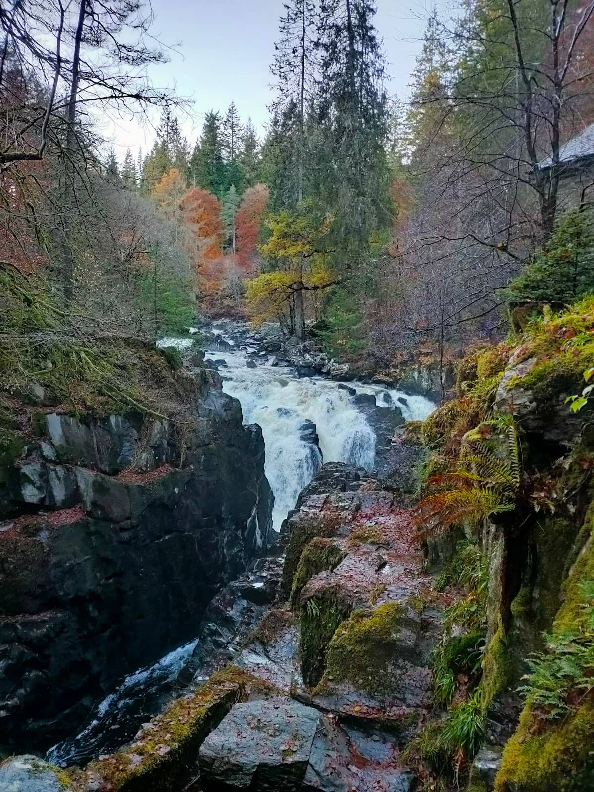Vertical photo