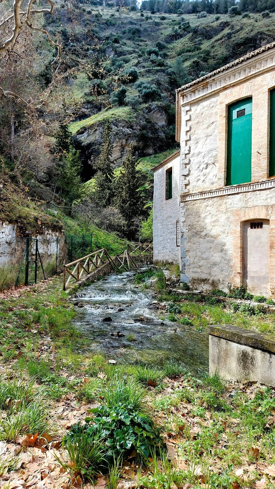 Vertical photo