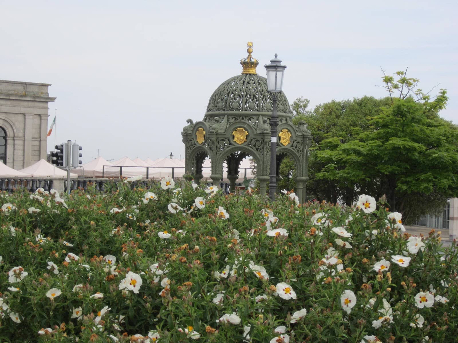 Firebird Chicken Wings
