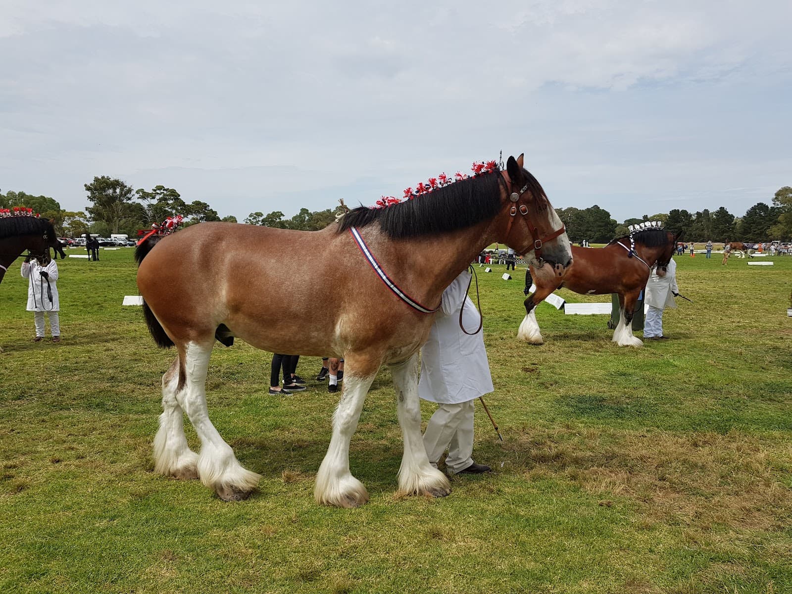 Werribee Park National Equestrian Centre - Image 1