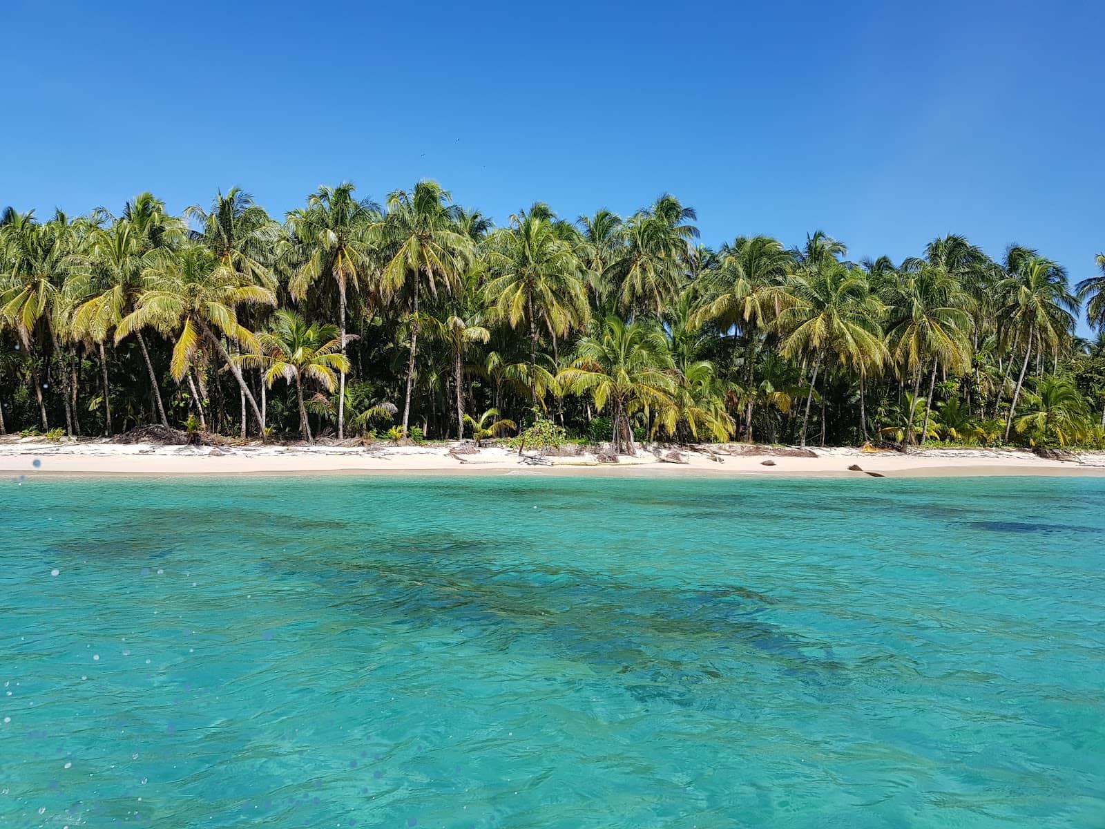Jungle Interior Trails