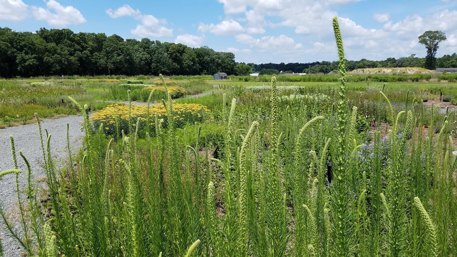 Delaware Botanic Gardens at Pepper Creek - Image 1