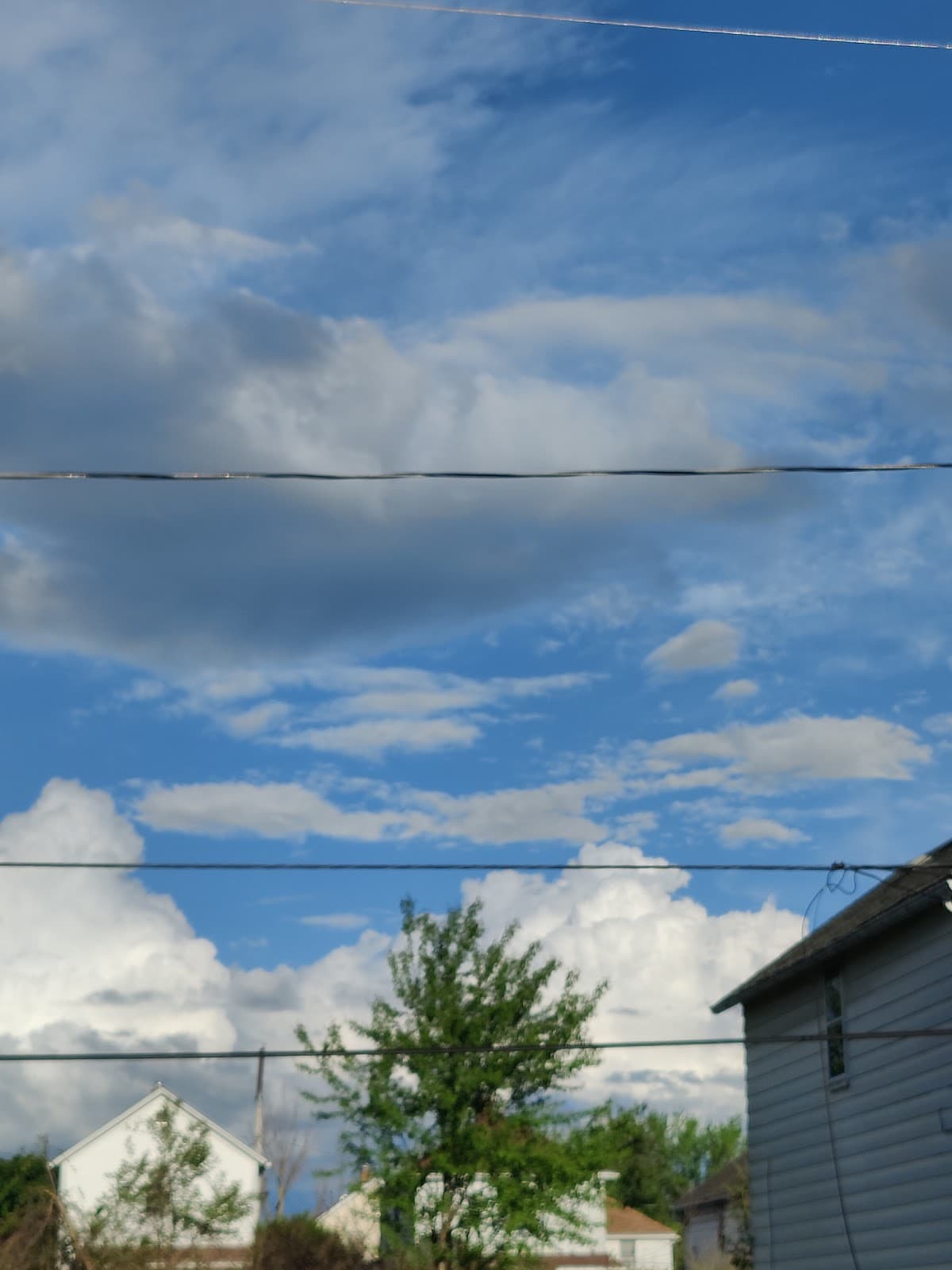 Ohio City Cleveland - Image 1