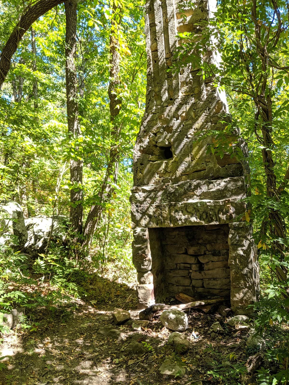 Vertical photo