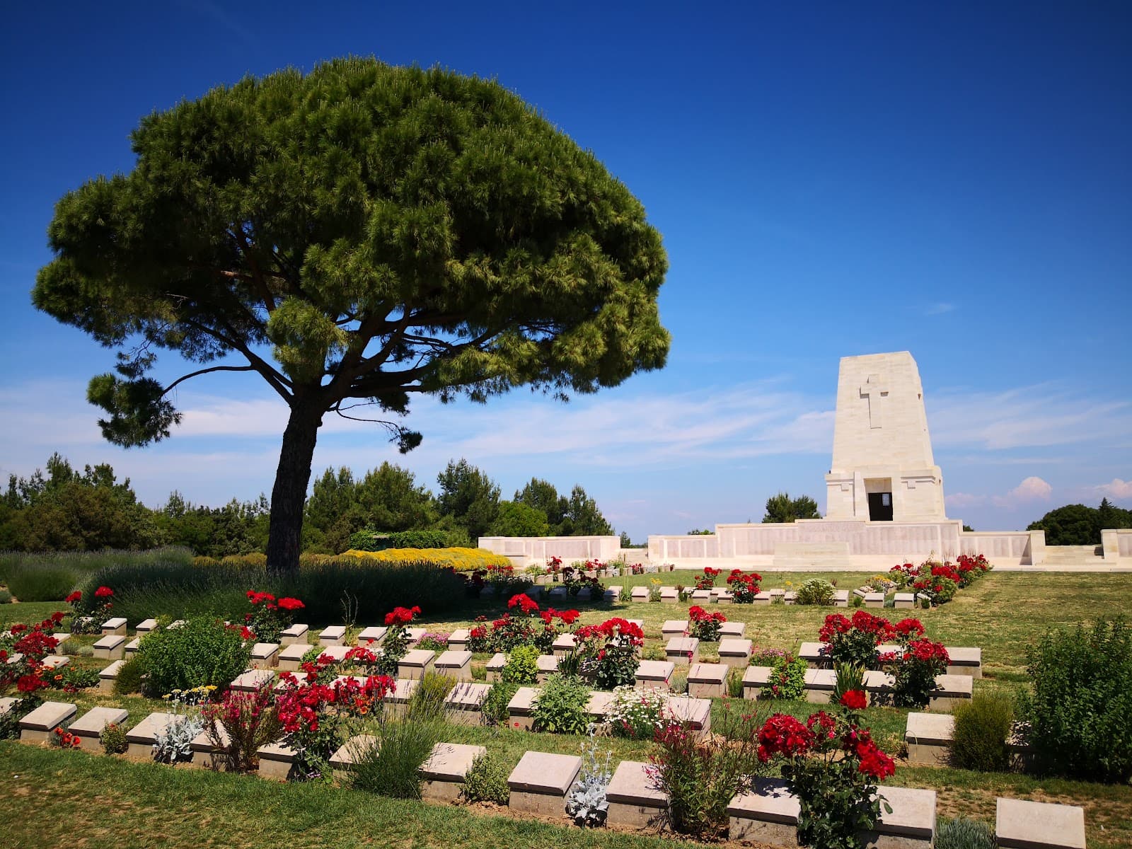 Lone Pine Cemetery and Memorial - Image 1