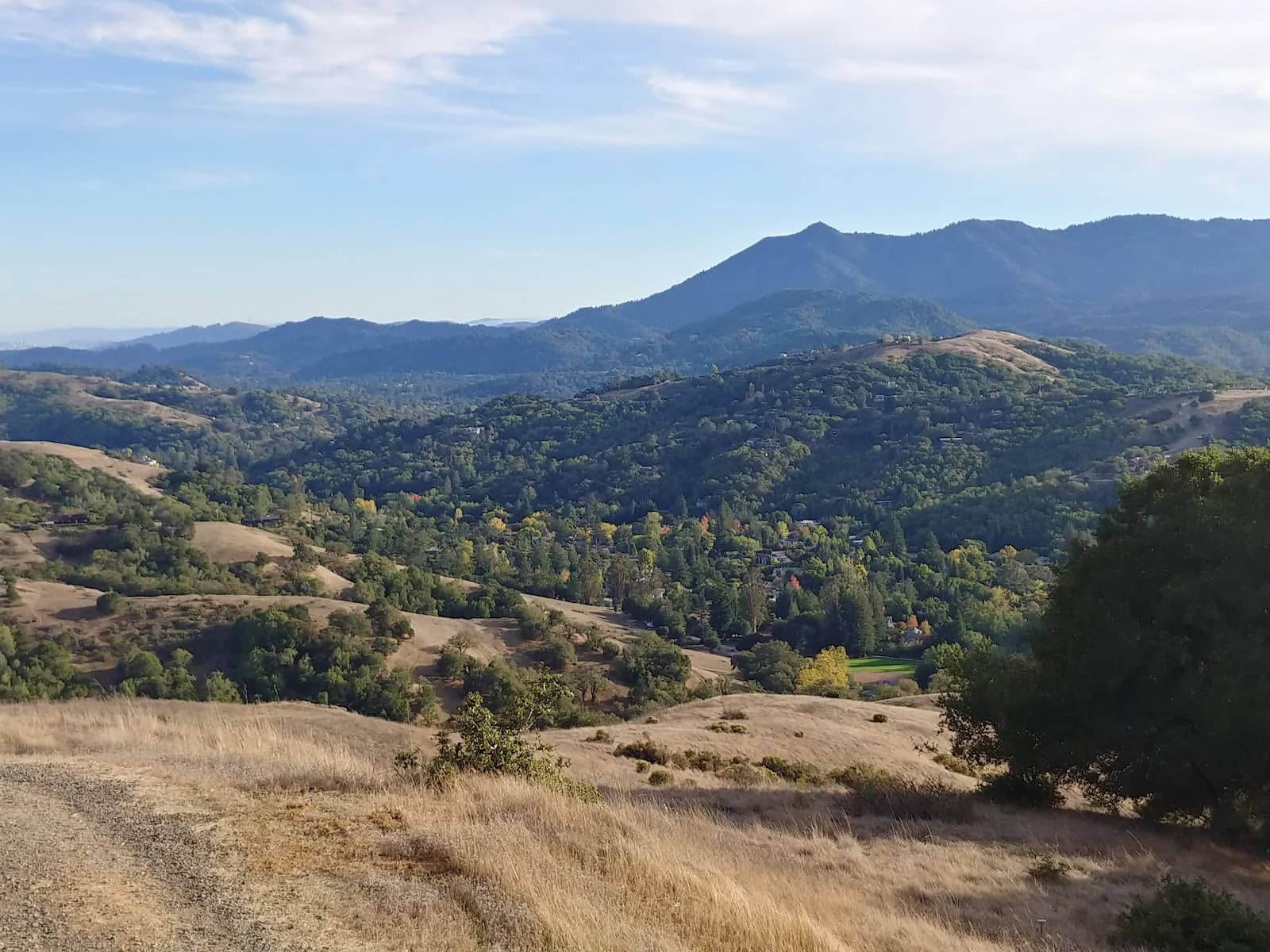 Seasonal Waterfalls & Moss