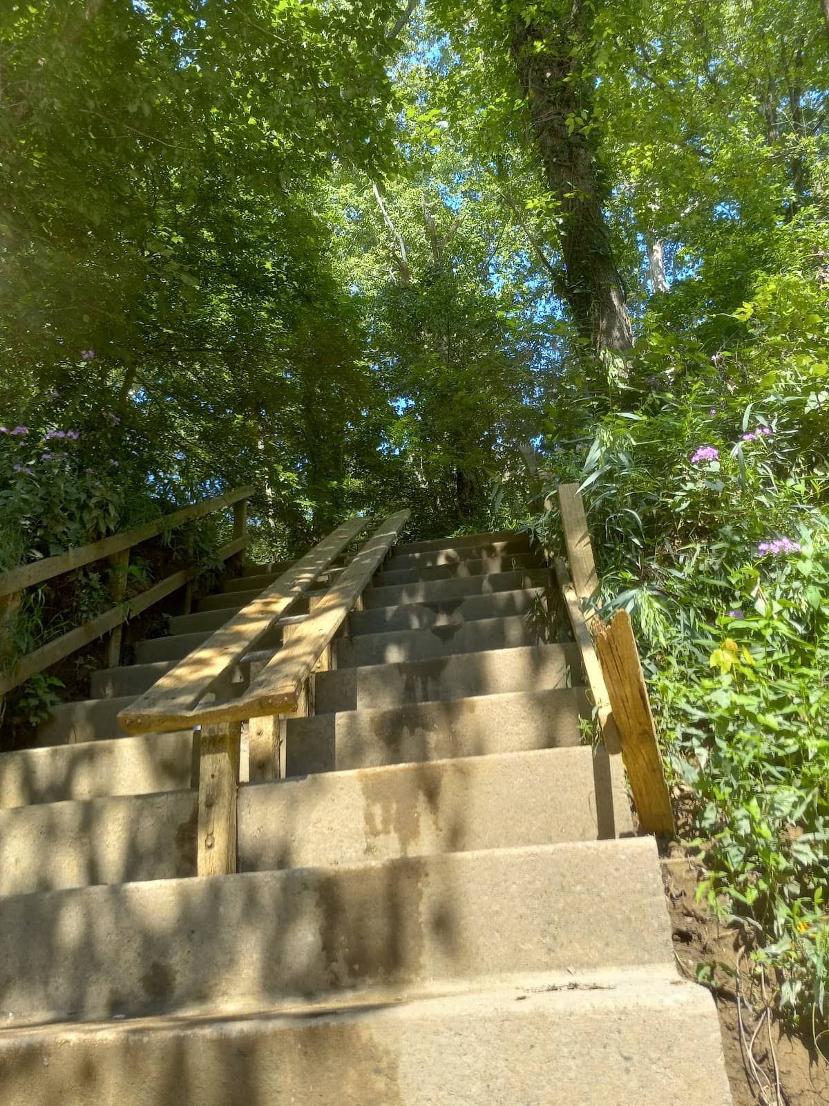Vertical photo