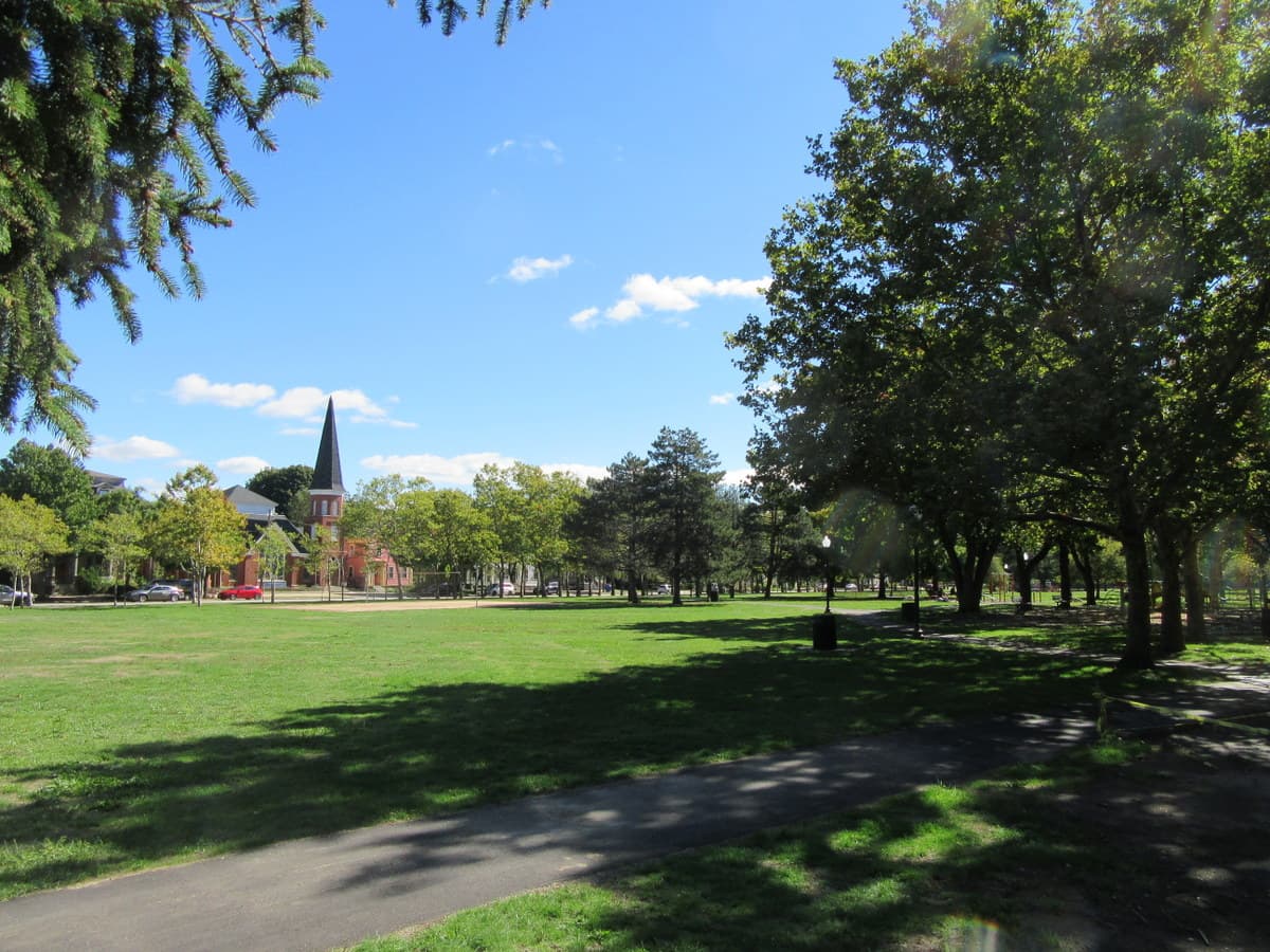 Dexter Training Ground - Image 1