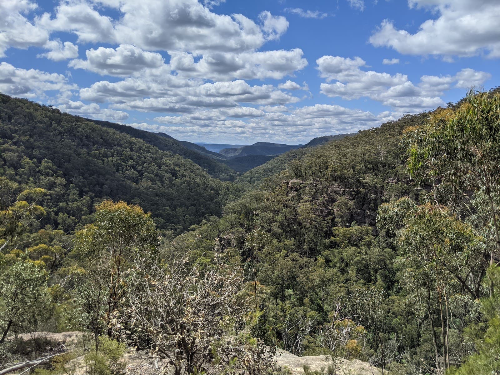 Nattai Gorge Lookout - Image 1