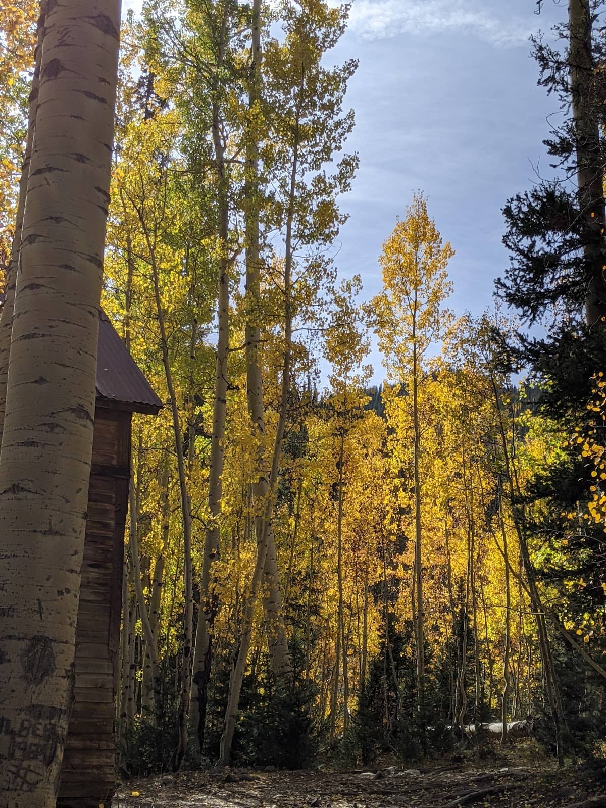 Vertical photo