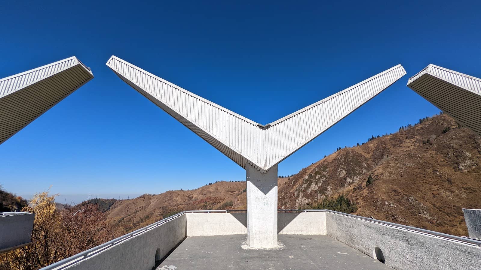 Vertical photo