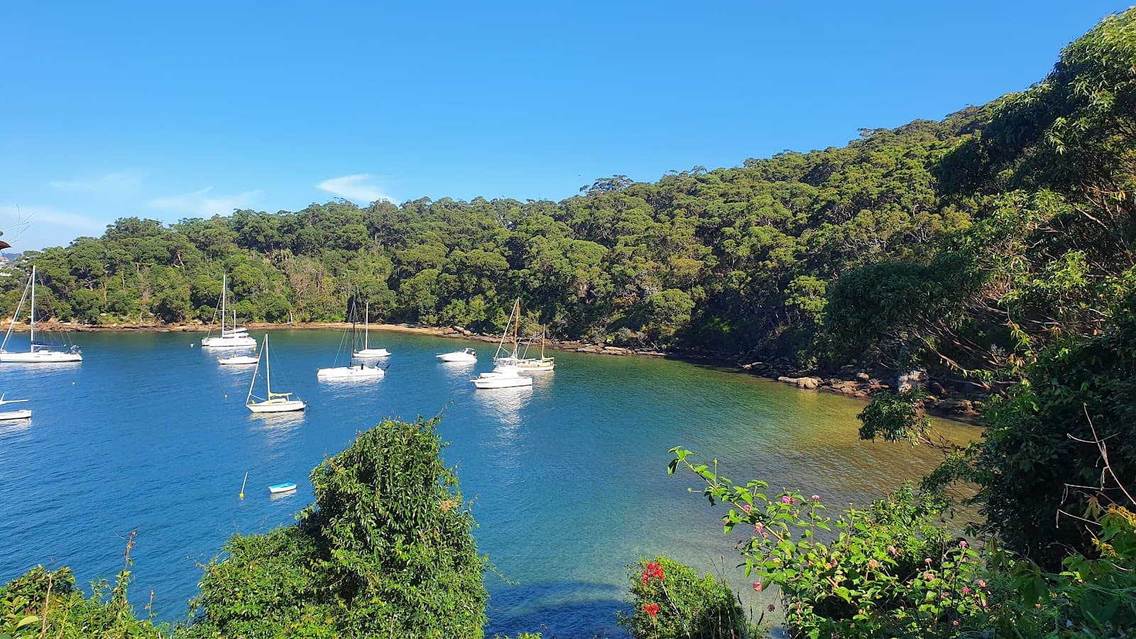 Taylors Bay - Image 1